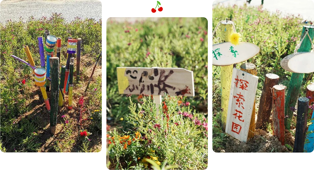 1hnJwLlTPnYXBEUebrBFVlBrkrC5WQxevp1owmq6