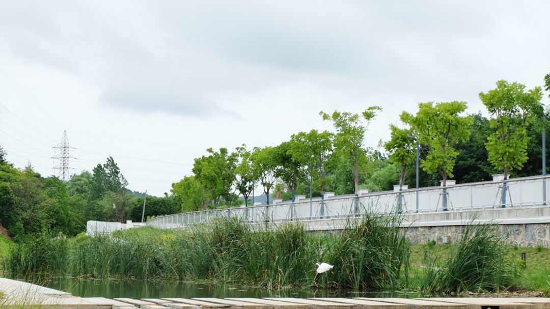 KDSroEuRSWRrD9LdzokuoaegTNrVSaOpjGdUFSJn