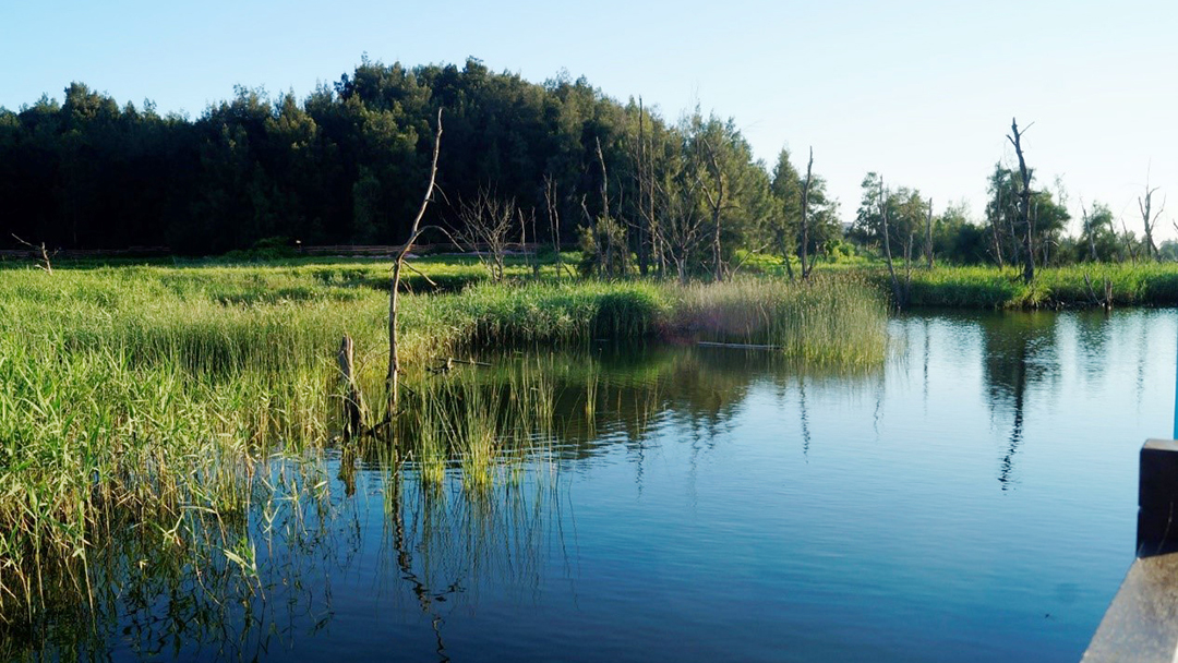 X90aHsL5Rf4AohypBdc2MWLmYEFB8MiW3ubgza0q