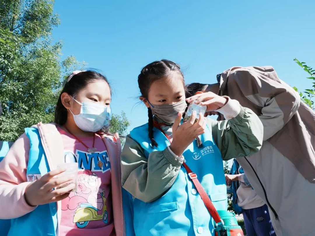 YXrv276MqV4NCiXLSQSghx277tCjGSVTkC80ARTn