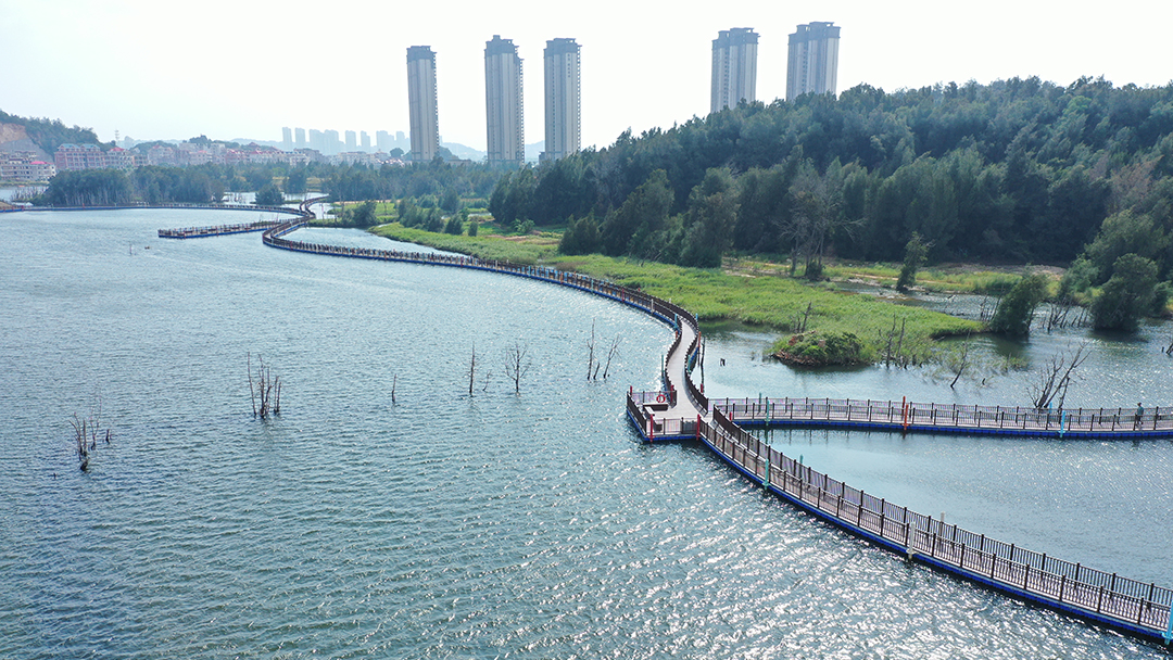 zoWCdr3fJ4KXcwjGm6x2JiE0Z0hPlBzDzHeEeMwk