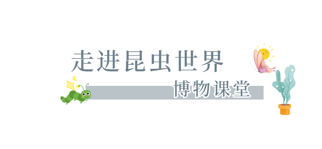 4hKVJObFxx8LhAMKhEUUFLUIJCyymwFJRnzwiHuY