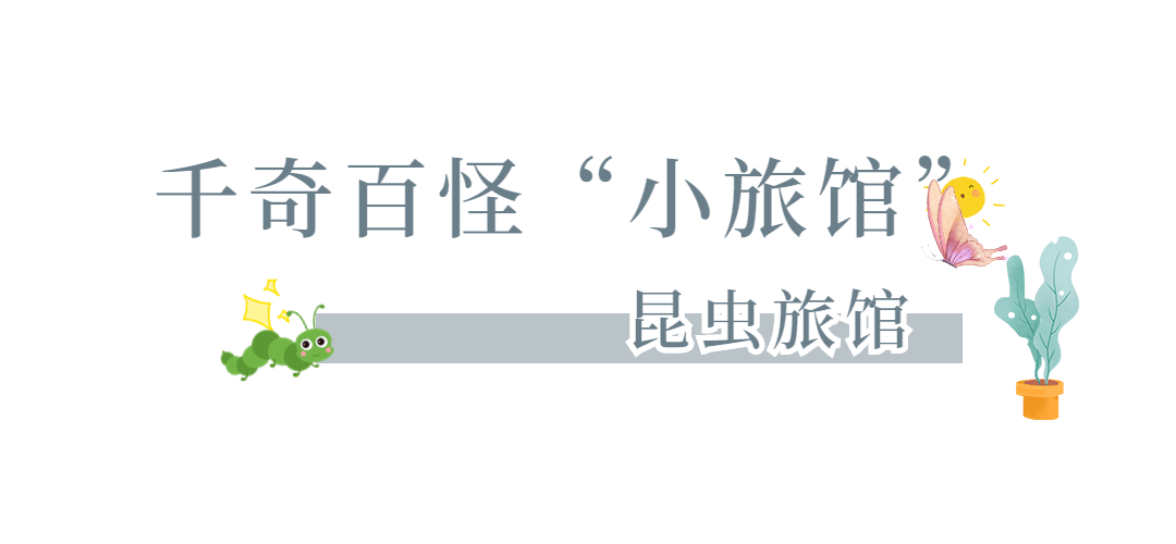 LO1fogDRPzTZL6D0v1GOzfAK7vlHycVHtlVPlyFe