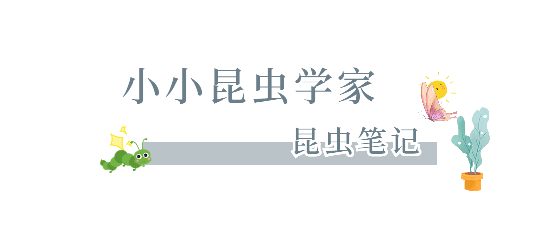 RyHPsla8Lqy778Wz3IzfSYijABKb7GkUBouKQRxp