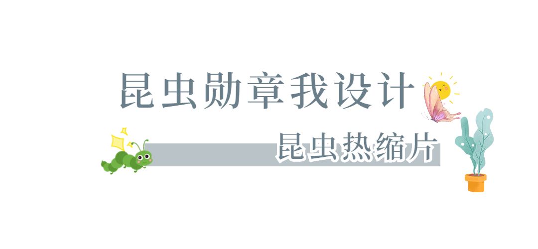 SXONbfI8gNgyTbSRQBzOEwIyjZ9o9JaAidIbEcmq