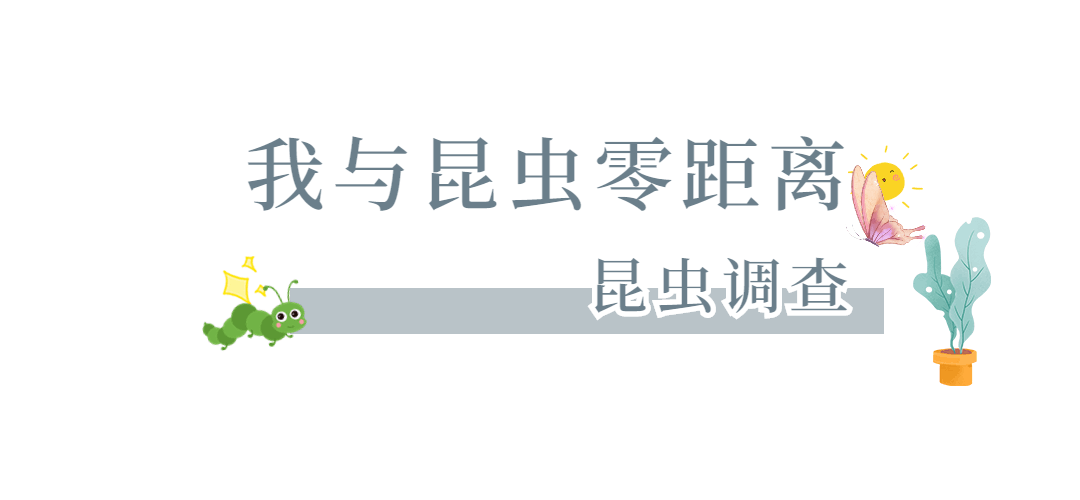 VliQdYsaWqf3lcra9EabkFKl8eZ1SxYNM4836TpG