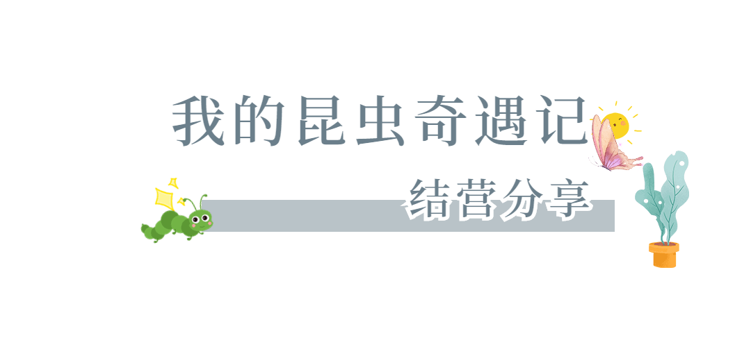 jUjnkS6ffFuBHXzS1f4uAgSpl7X9kzRfeVrkrcvQ