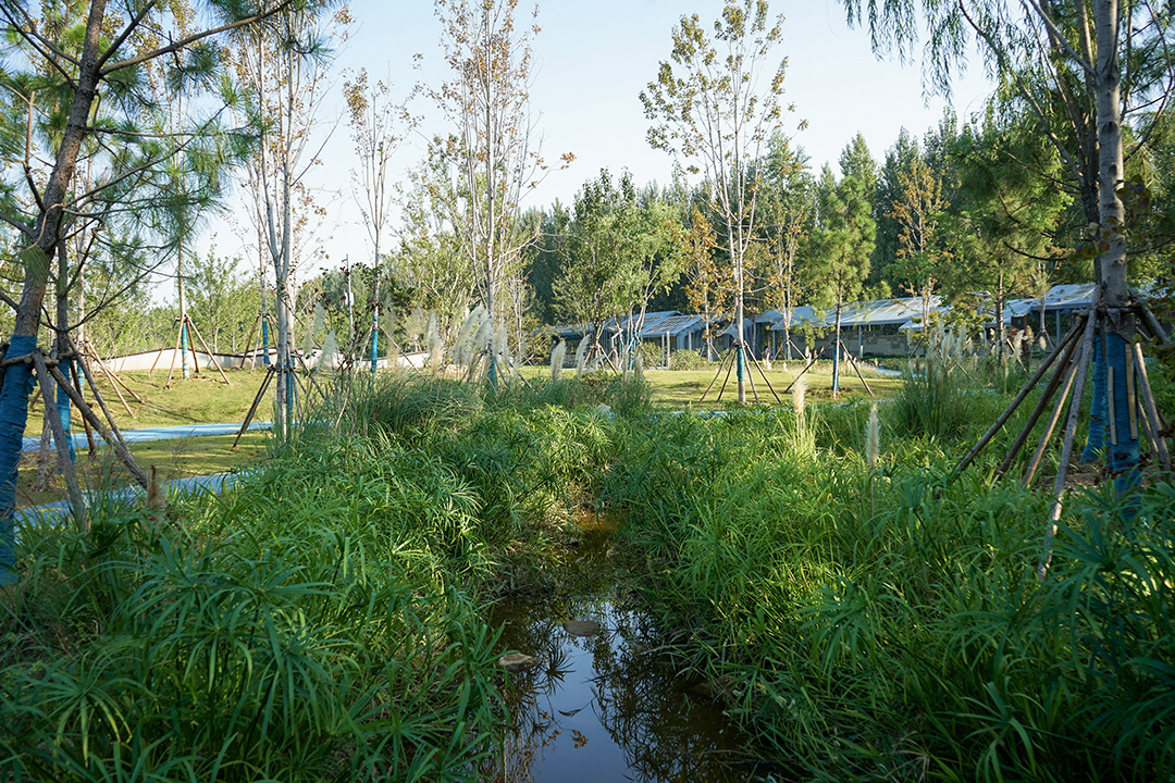 0nSXOL5JSKhnCIm7iW84lcen4fuu3B6wCr2bLxip