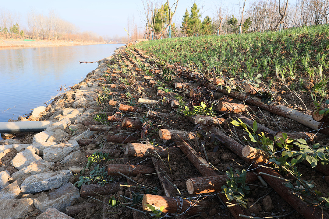 q7efk8RjvCBAB7PN9tom5ZD73cR76s5CR5C56Cfs