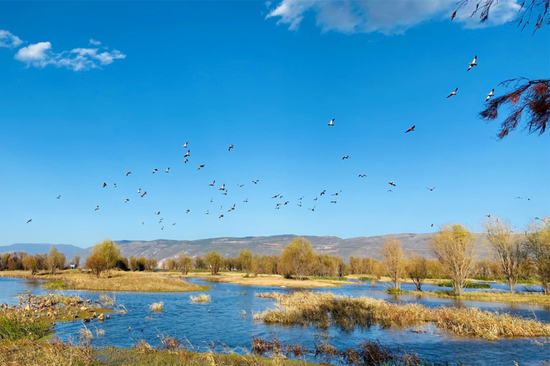 22888p279cflFUCb3oIOKtl9kTvKtqdszNBNZaTZ