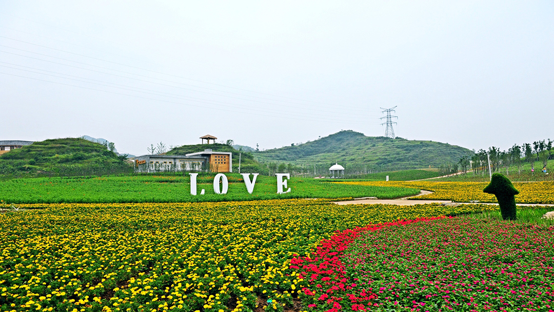 0EWGT1HROIENMq3dVJgw6lGF0Fq4NjXDGnoep3Ut