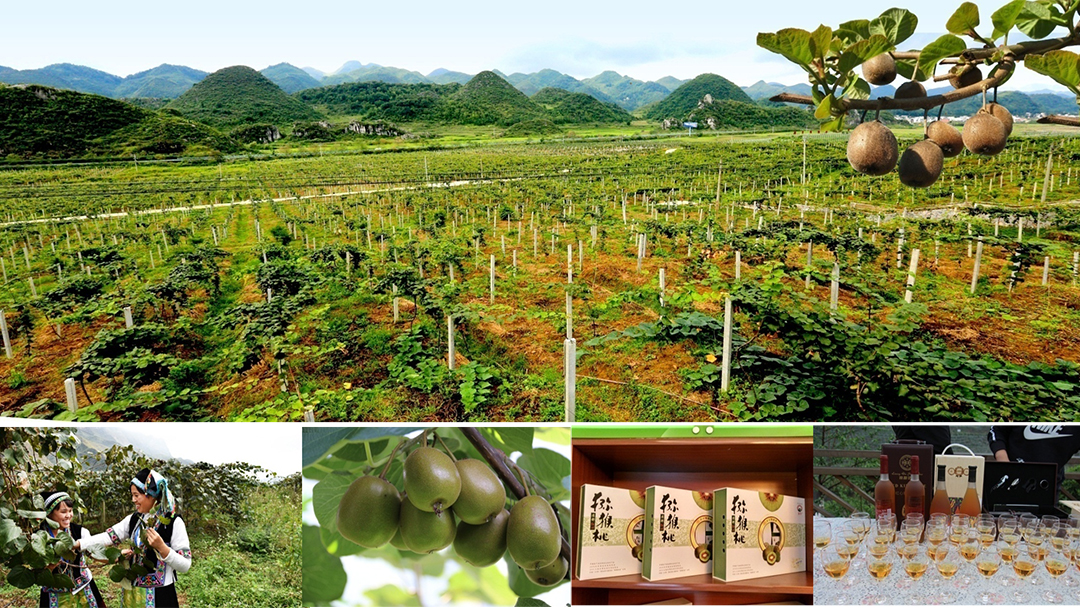 M5gj7V4dLrU0QFEgPx1sPLJlENasHHo2GmY2QXIi