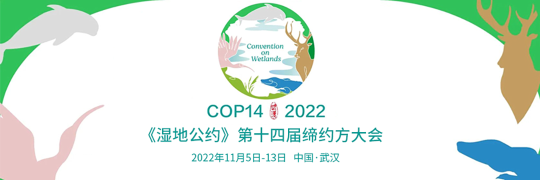 Cx7XJlNlig4pAAUk44Lkat5Wz6kIvmYl0x7XtoPG