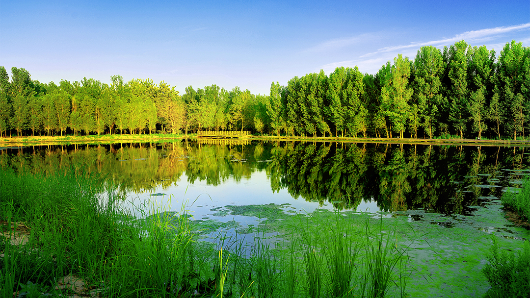 OT2Jfl3Hrd1ZnHDZZGSrhCs2kvo2eHtRHd1ls16g