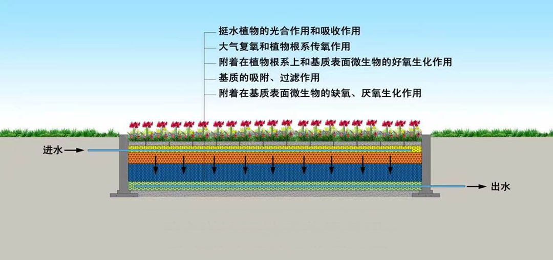 VWMvNbgqZWjbwNmzsPBpb0Mjzu9peBGA1lnHCA12