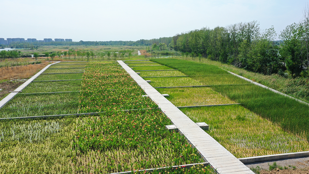 ny4cMbWhMNwrFvn8jwwWRNXDoxJfUD1c31ol193l