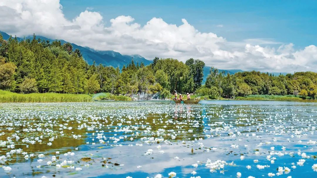 CVk9efu77vvTtaxJjEUpjtGcHBGjyZJIJrMSz2pr