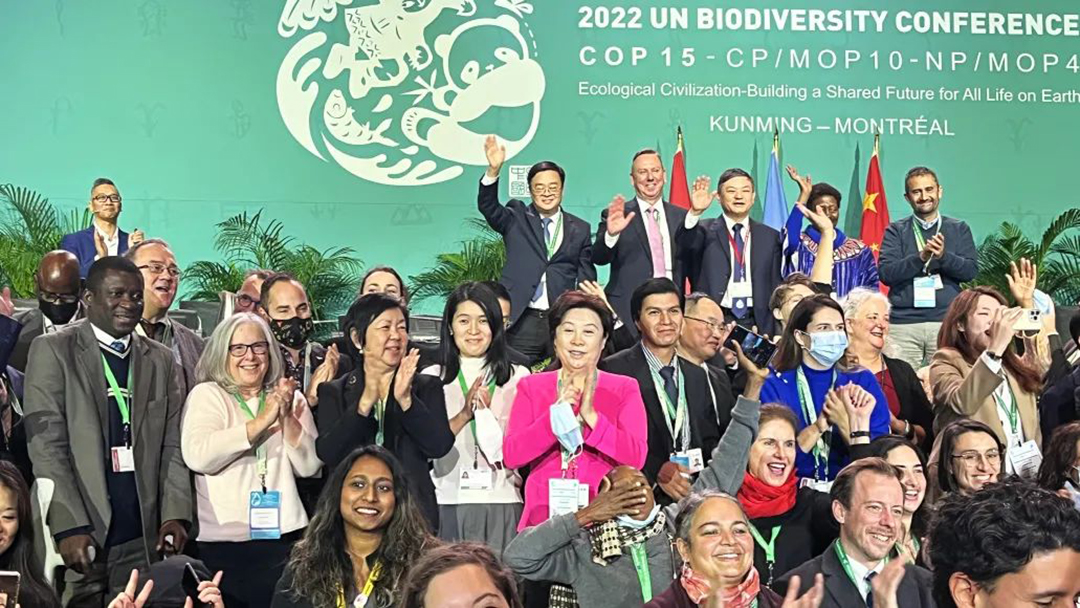 hUCMowMlf8Fmdt63TrQwsnkKhbmqFxW0ljqFZnbL