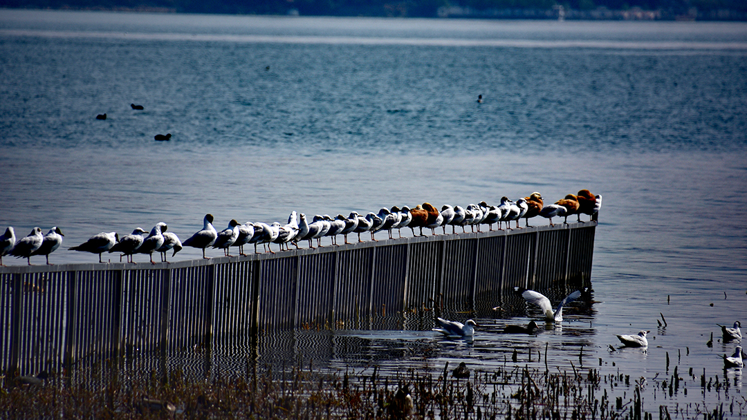 8SONKc8oFJWoxxYtZVcoNebJMnAD79ij2nm6AuhV