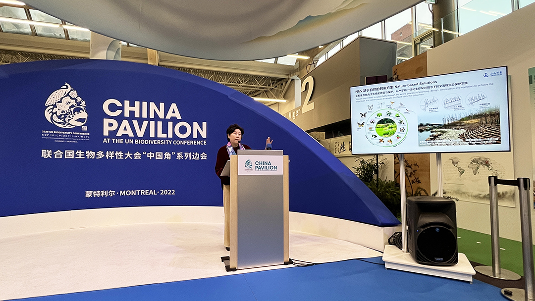 8ZawGWWKdqG3EnknOuuEzR8P2PeLw45TQCeKaiMb