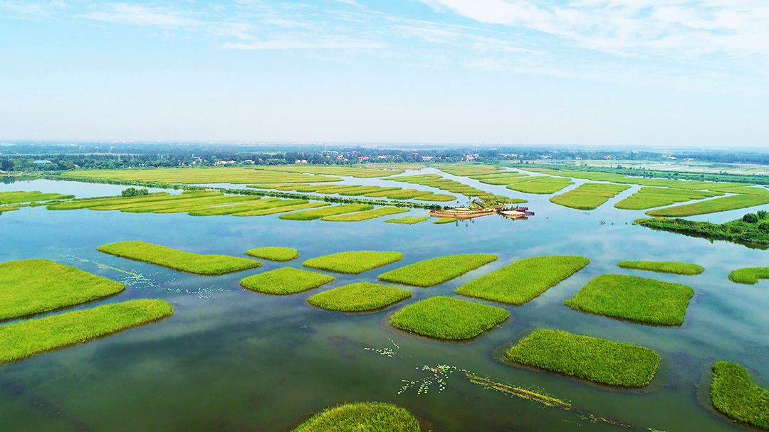 4HpK49qFn9UAIxPrroqSrRK9fNvSCQoqWmsgA2D1