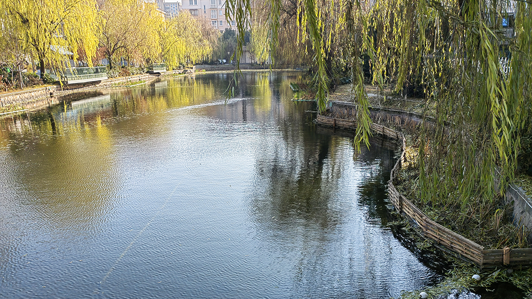 C8xTeNjBWPB137hRdfGYjpneoG6fdBklBrFklGkX