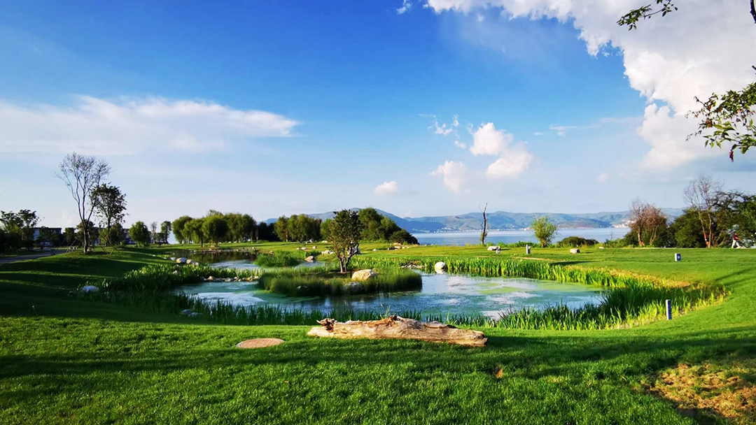 IV5n24nfrMQQt7c16wyqEn7zuWCDf5uDw8AlZw3w