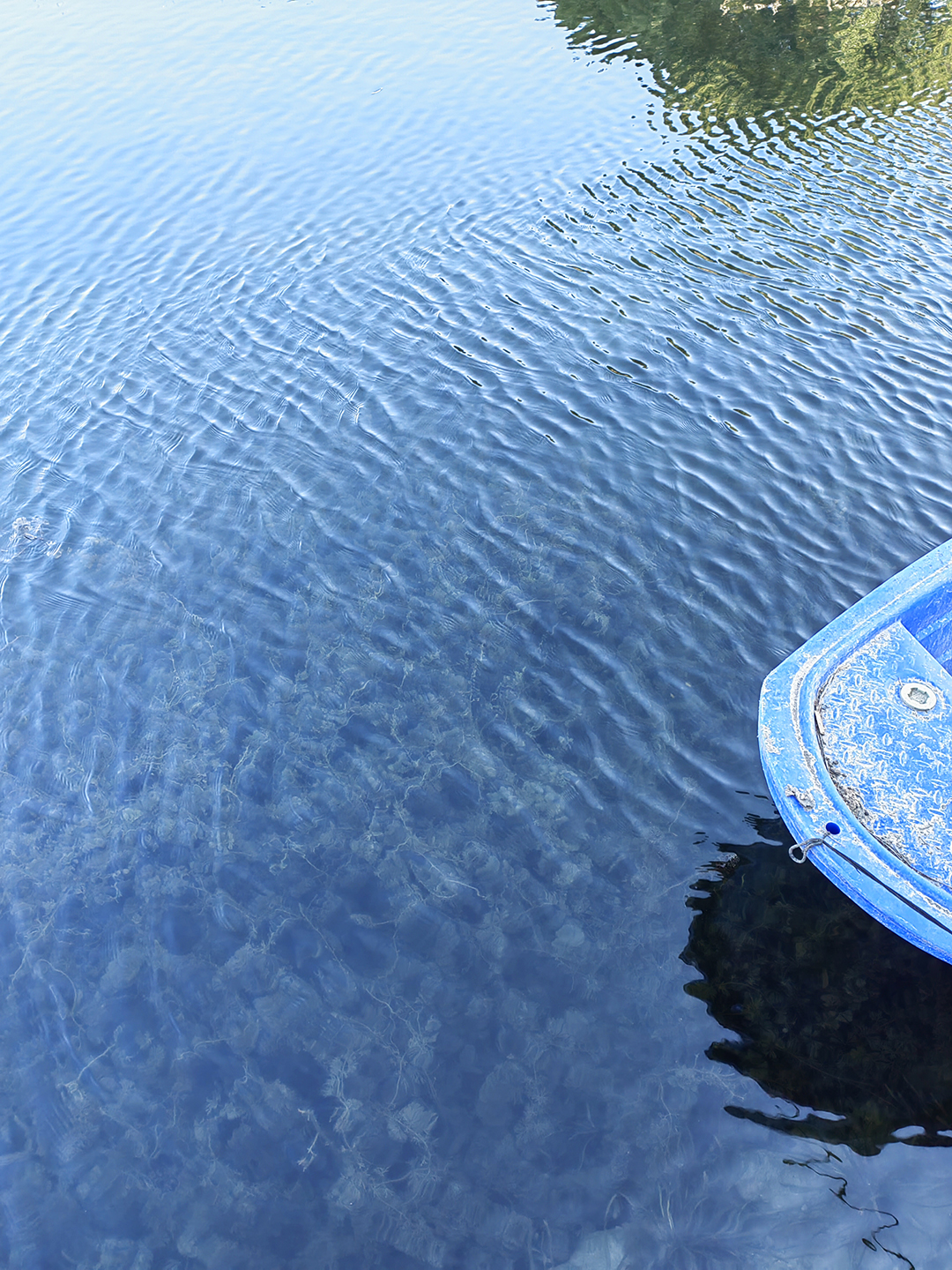 agkAYkYYPTSQvgdZvNgIRsrlIUseKLwyTVWWfO4V