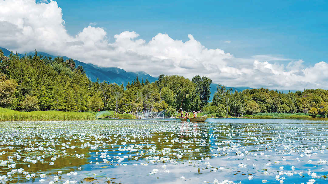 pwD3XcaJVyRWmQonEfuLFMeQ0jXtUT6zzkBK55gb