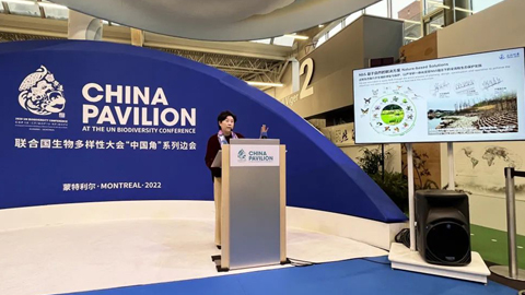 foDtINiRpAtBVJsnouWzCNBENZwca9niaFkTXgvC