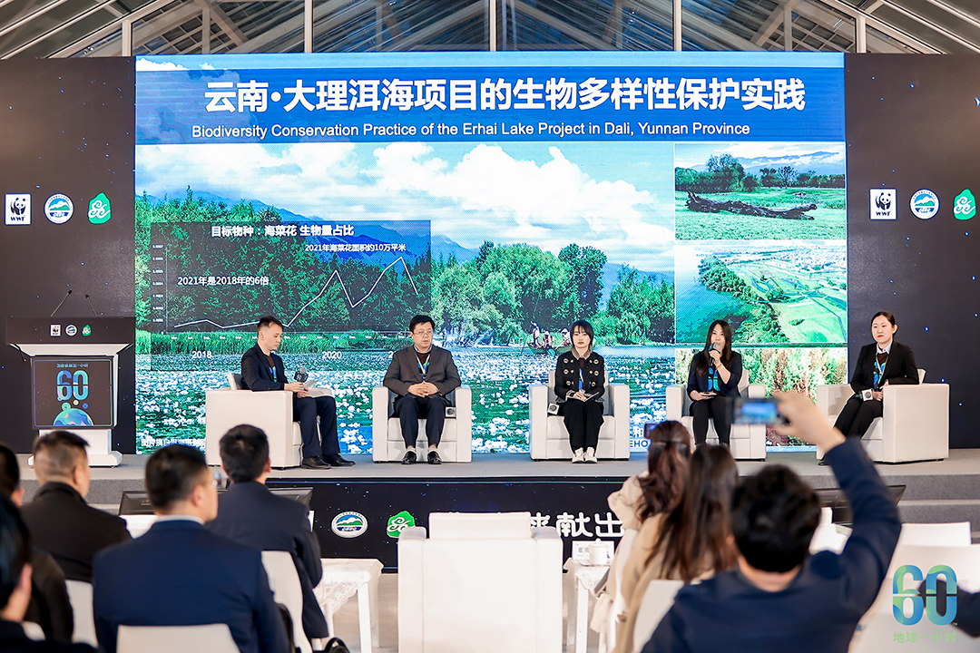 djjVFOp2zapJPOAahu0QzGIJNiiy3nZWA26QVFfG