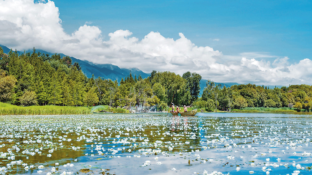 rduqRn2xX4db2eglXaZx6qklTGupgzfwunbePGOo