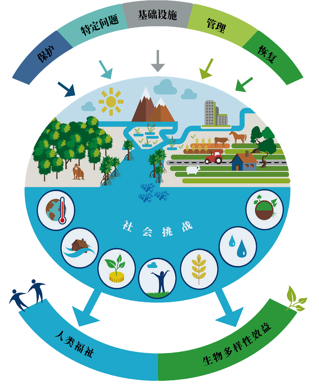 hxfyAxL1JijMeoiluh6J1ffO4CPlThsnpKocq9jb