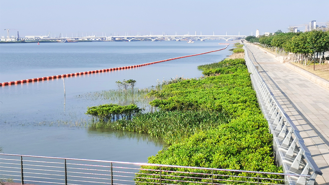 simpXcPQv9TtRq0elPZirasI82Q8VQgI5gXdX9zz