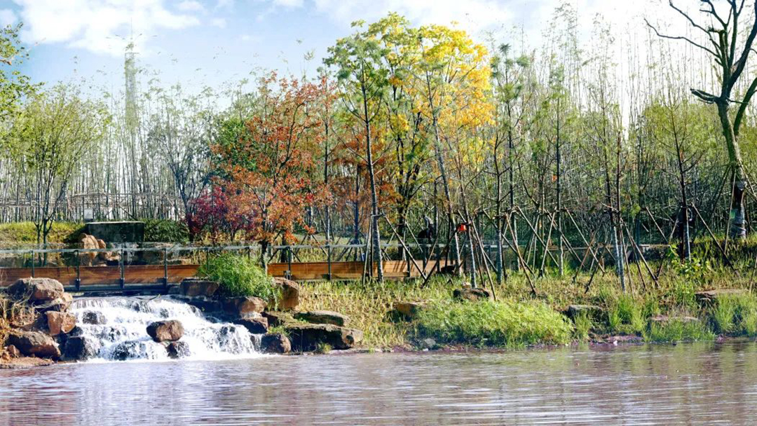 8to2CK6RyLONIWUYWeSSQTc9epoMTN916UrOTYFk