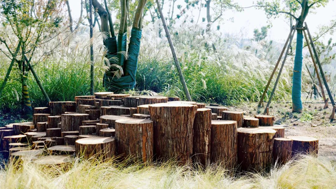 NC1Nm6CWRQmX581XIomQhUqILv3SHVctAw5ABCe8