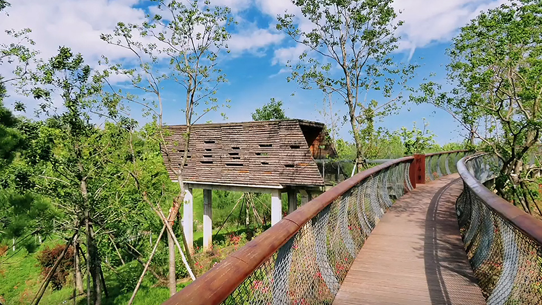 mpDVrLYHNwUTVTdYuX0pDP5mIcuJYgoMdrH2Cw7h