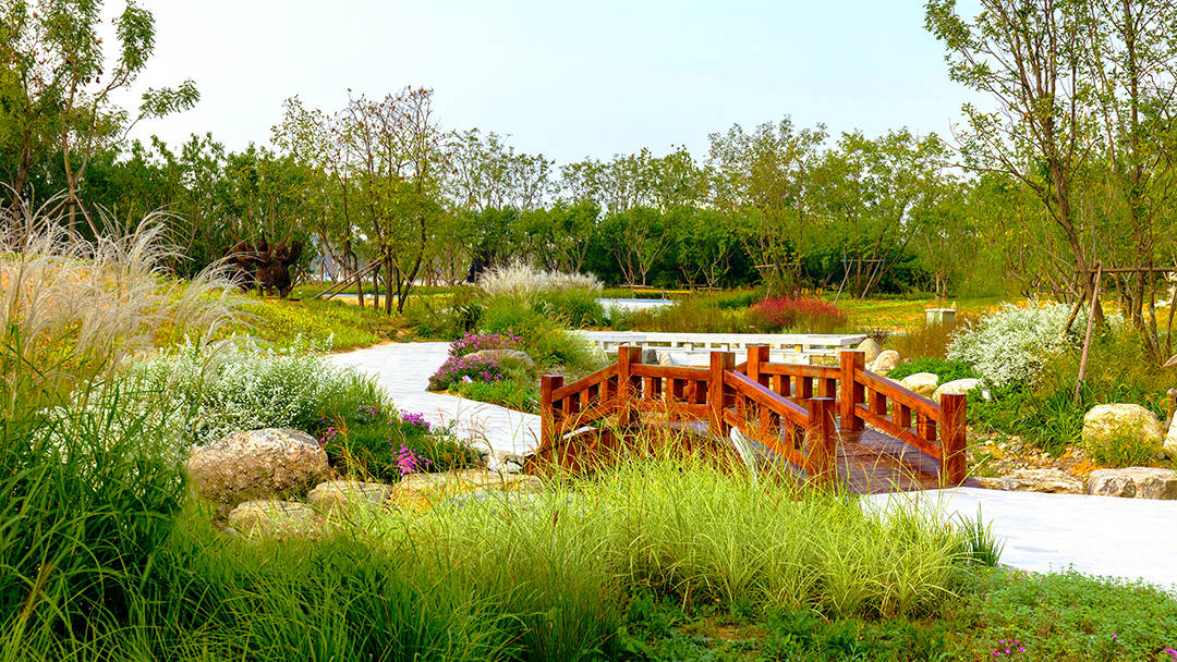 Vhidlv0N1yJlDzh3k6U2sJarF5yrWWurtrSdwYFR