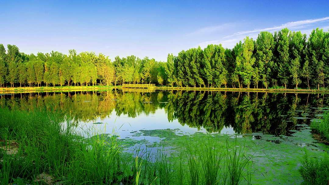 UCViDYvbAqcqg7uzHPMMKhq5OiH0fw5TetYADUZS