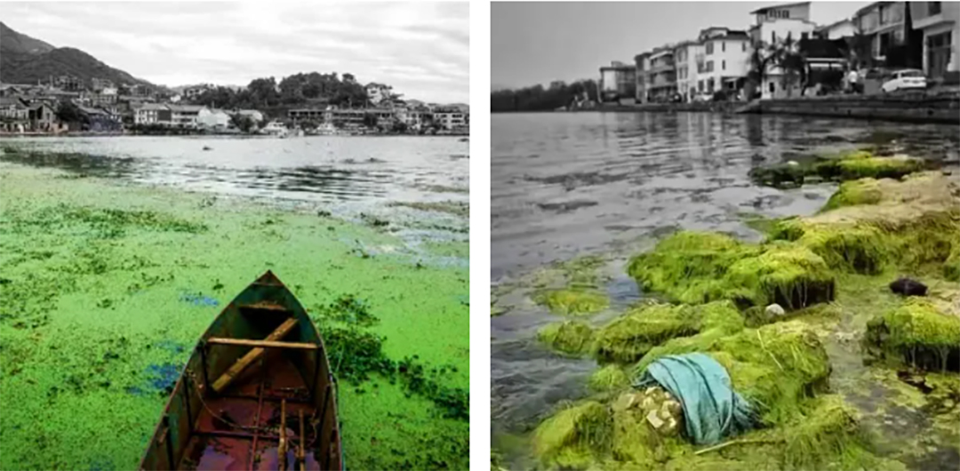 hAu7dH2dxO1JRFXvVmhGG3TzRkj8fejyXXbvDAHI