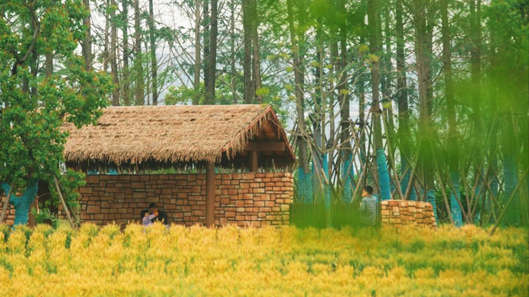 rbCcziJD5lu06QMK0jfqeIqdlOXGQhYKoq9WHPFI