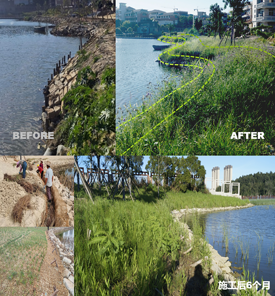 v2ozPU0h473BLLC5jgyNe91UDqkoi5WQTyFcHV6r