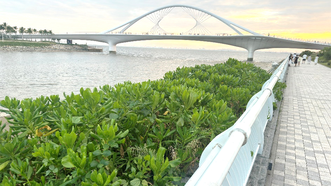 中国·yl23411(永利)集团官网-Officialwebsite